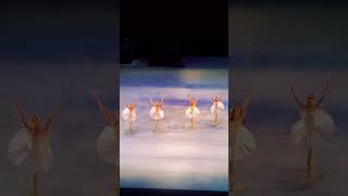 Danza de los cisnes mayores balletlove balletdance swanlake dance ballet [upl. by Eilrebma271]