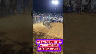 G63 VS JAIMITO CARRIZALES toros jaripeo rodeo cow g63 ranchoelaguaje [upl. by Yalonda]