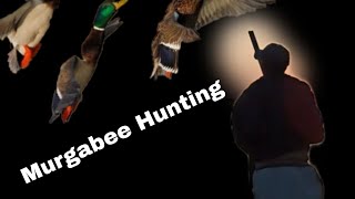 Duck Hunting With Shotgun ❤️❤️ In Pakistan 🇵🇰🇵🇰 My First Vlog☺️❤️ [upl. by Zorina]