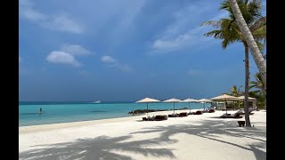 Ritz Carlton Maldives Fari Islands Review [upl. by Ahsekim]