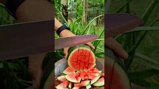 Great cutting watermelon l watermelon cutting skills so fresh 2024 reels satisfying shorts [upl. by Nyrahs]