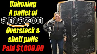 Unboxing a 100000 Pallet of Amazon Overstock and Shelf Pulls  I never know what I will Get [upl. by Anauj]