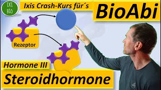 Hormone 3 Steroidhormone  Wirkungsweise im Detail Vergleich von hydrophilen  hydrophoben Hormonen [upl. by Naggem173]