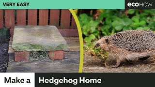 How to make a simple hedgehog home [upl. by Eirrej]