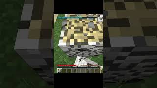 Minecraft But If I walk 10 Blocks The Video Ends shorts minecraft minecraftbut [upl. by Attalanta]