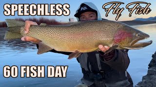 60 FISH DAY  Fly Fishing Spinney Mountain Reservoir in South Park Colorado for NONSTOP Trout [upl. by Asaert]