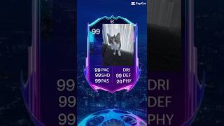 My cat reis🤣🤣😂 remix fifa footballgoatplayercat viralshort [upl. by Siuqcram]