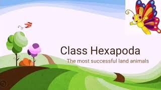 Class Hexapoda  Insects  Structure  Locomotion [upl. by Darlleen307]