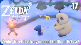 The Legend of Zelda Echoes of Wisdom 18 Zeldo combat dans le Temple de Lanelle [upl. by Rabah]