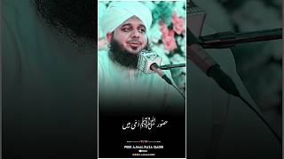 HUZOOR ﷺ UMMI Hain ❤️🥀 shorts ajmalrazaqadri muftitariqmasood [upl. by Thenna]