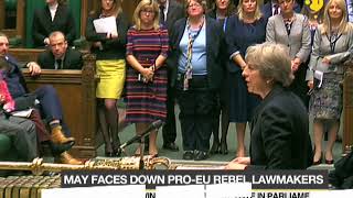 British PM Theresa May wins crucial Brexit vote [upl. by Docila682]