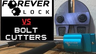 51 Forever Lock VS Bolt Cutters Viewer Request [upl. by Mendie]