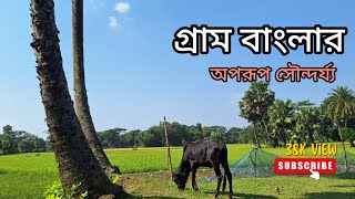 গ্রাম বাংলার অপরূপ সৌন্দর্য🇧🇩  Village life in Bangladesh  নদীর তীরের মানুষের জীবন [upl. by Pich]