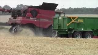 Axial flow harvesting wheat2015 [upl. by Elsi973]