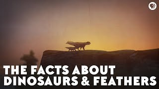 The Facts About Dinosaurs amp Feathers [upl. by Yoccm]