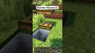 Minecraft BEST Starter House 🏡 Build for Survival minecraft [upl. by Ademordna]