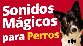 Sonidos Mágicos para Perros Alivia el Estrés [upl. by Anel731]