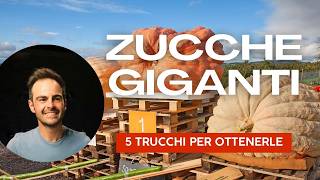 🎃 5 TRUCCHI INFALLIBILI per ZUCCHE GIGANTI da RECORD 🎃 [upl. by Karli]