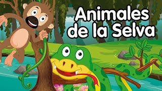 Animales de la selva  canciones infantiles [upl. by Vonnie105]