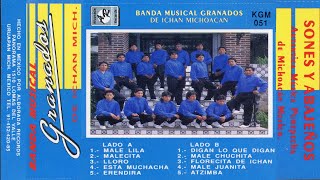 BANDA MUSICAL GRANADOS De Ichan Michoacan Mexico SONES Y ABAJEÑOS [upl. by Nauqe]