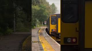 150219 working Liskeard to Looe departing Liskeard 15 Oct 2024 [upl. by Jess91]