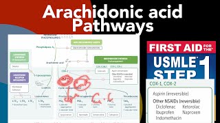 Arachidonic acid pathways Corticoids NASAIDs Celecoxib Montelukast ampZileuton mechanism of action [upl. by Nwahsel]