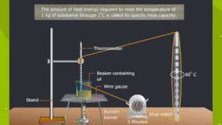 Heat Capacity and Nature Of Substance [upl. by Yelsha]