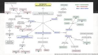 Penicilinas y otros betalactamicos [upl. by Harwill839]