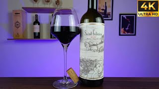 0549  Vinho Saint Felicien Malbec 2023 vinho vino wine [upl. by Haven]