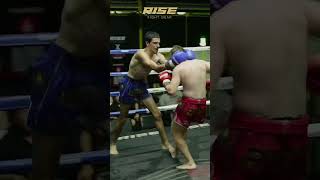 🔥 Knockouts Compilation 66  Muay Thai Highlights Knockouts knockoutcompilation muaythai [upl. by Ydaj142]