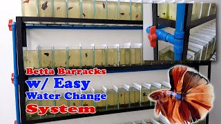 How to Build a Betta Rack with Easy Water Change System [upl. by Aurelio]