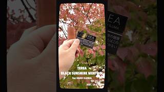 【TEREA BLACK SUNSHINE MENTHOL】テリア・ブラックサンシャインメンソール（¥580） [upl. by Aihsi]