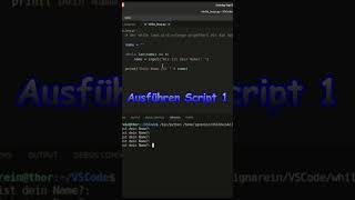 Python Kurs 11  Ausführen Script 1 mibamathematik mibafunandgames mibahealthandnutrition [upl. by Kamilah]