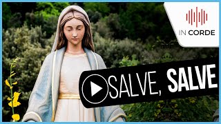 Musica Catolica  Salve Salve 🙏  Lyric Video  IN CORDE [upl. by Ema372]