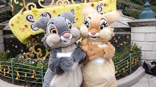 Thumper and Miss Bunny Swing into Spring 2015 at Disneyland Paris [upl. by Clementas]