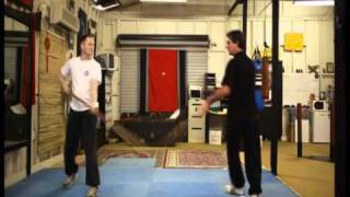 Ian Protheroe Wing Chun Chi Kwun Drills [upl. by Orodisi162]