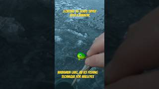 Ice fishing Wabamun Lake 2024  Floating Jig Heads for Walleye northlandtackle [upl. by Egbert284]