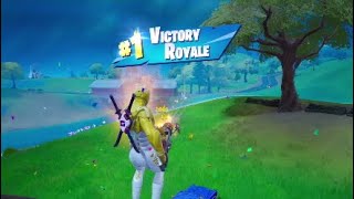 Ez win Fortnite solo 781 [upl. by Nnyroc855]