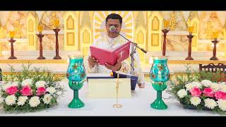 Sunday Holy Mass November 26 I 530 AM I Malayalam I Syro Malabar I Fr Bineesh Augustine [upl. by Salis61]