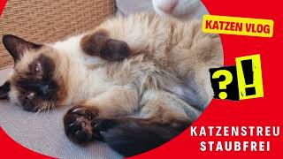 Staubfreies Katzenstreu Test quotPremierequot Fressnapf [upl. by Elaen766]