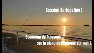 Beaucoup de Poissons en surfcasting à Boulogne sur mer [upl. by Bowra]