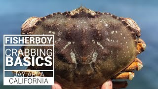 HowTo Catch Dungeness Crabs and Rock Crabs in the Bay Area Using Crab Snares [upl. by Hank]