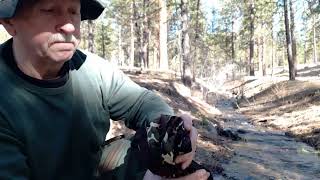 Survival Tricks Tips amp Gear For Staying Hydrated [upl. by Yrac11]