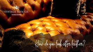 Vintage Sofa FAQ Care For Aniline Leather [upl. by Nwahser57]