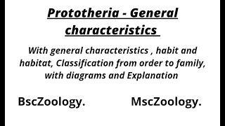 Prototheria  General Features [upl. by Jacey]