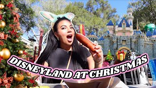 COME TO DISNEYLAND WITH ME disney during the holidays  Vlogmas Day 2 [upl. by Azeria]