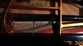 Wet Hands inside a piano [upl. by Etnaid]