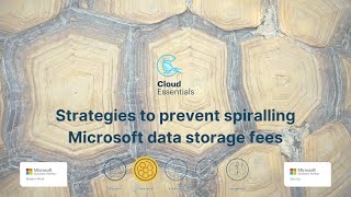 Strategies to prevent spiralling Microsoft data storage fees [upl. by Amaris937]