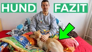 Leben mit Hund 🐕 Fazit nach fast 1 Jahr [upl. by Matteo]