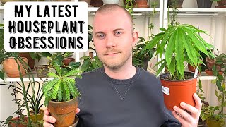 My Latest Houseplant Obsessions [upl. by Esital]